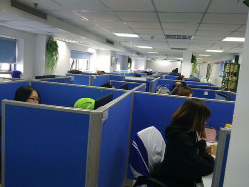 上海回聲網(wǎng)絡科技 專業(yè)網(wǎng)絡技術服務領航者